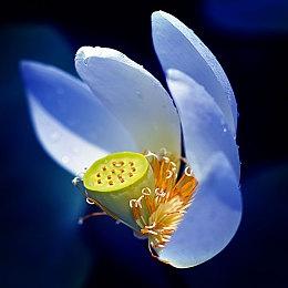 《燕云十六声》用买断级品质 做最好的免费游戏